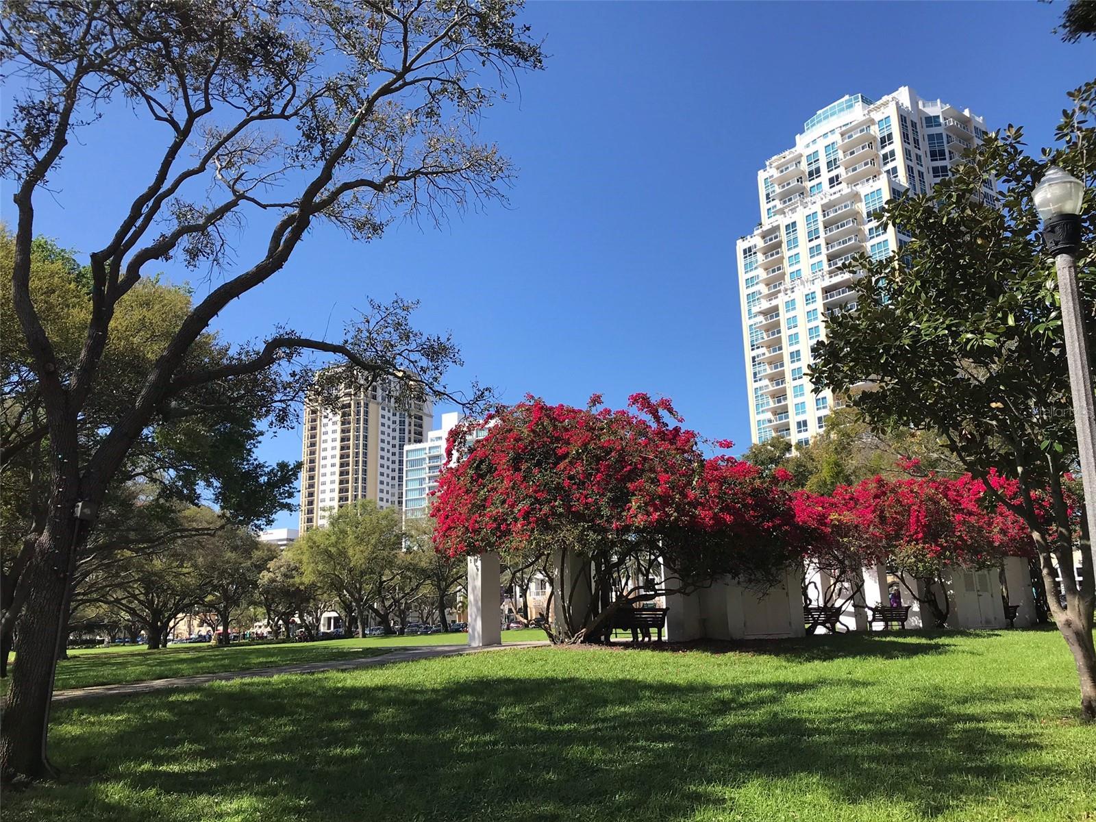 FLORI DE LEON APTS CO-OP - Residential