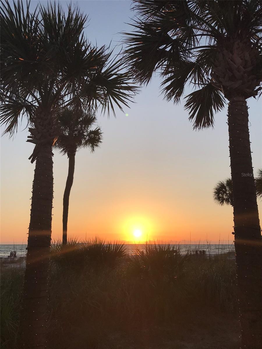 FLORI DE LEON APTS CO-OP - Residential