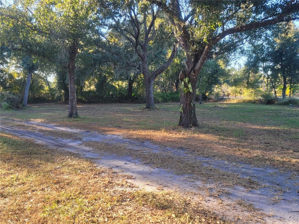 Photo of 7283 SW Environmental Lab Street, Arcadia, FL 34266 (MLS # C7517714)