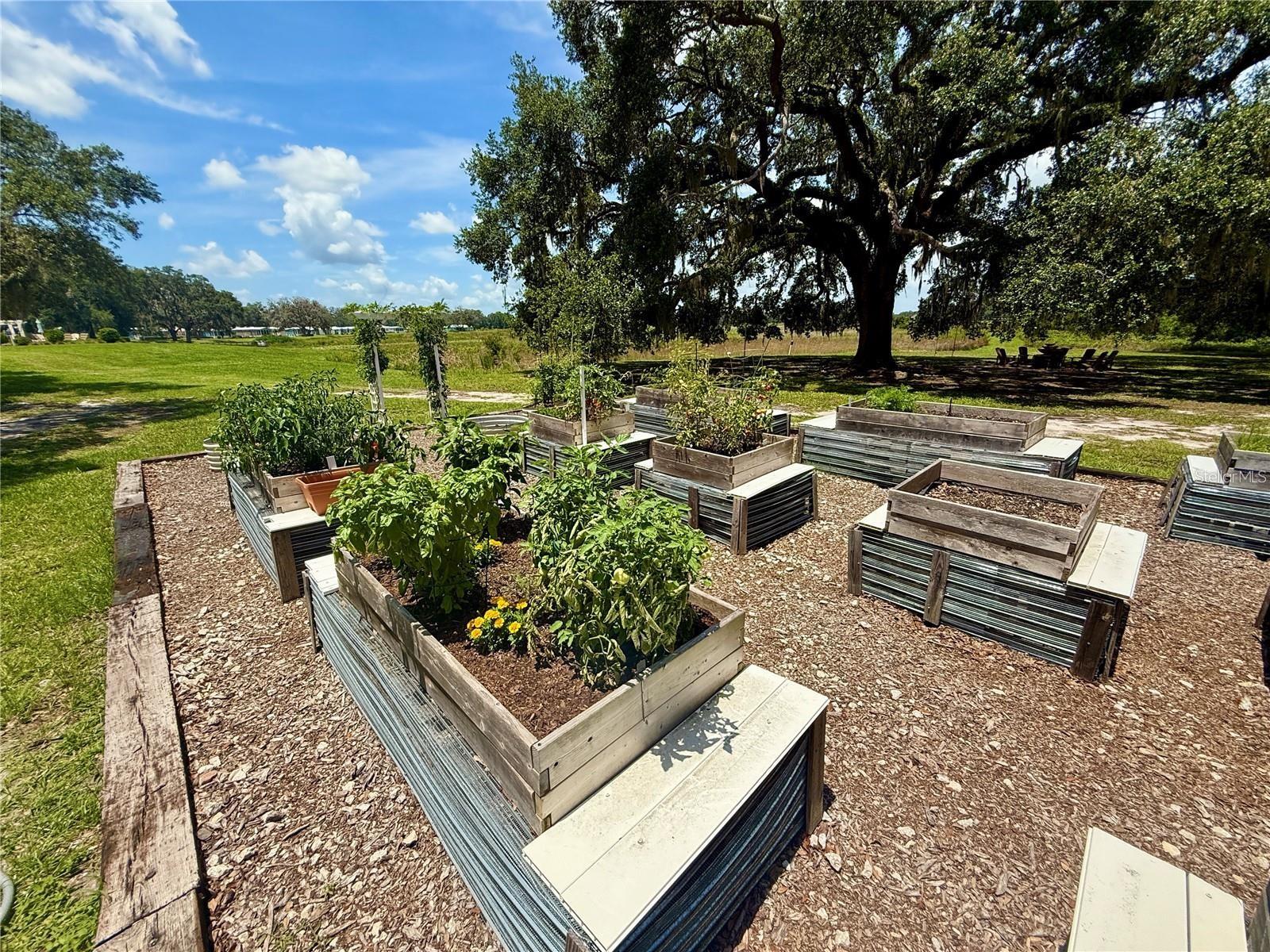 LAKESHORE AT LAKE ANDREW - Residential