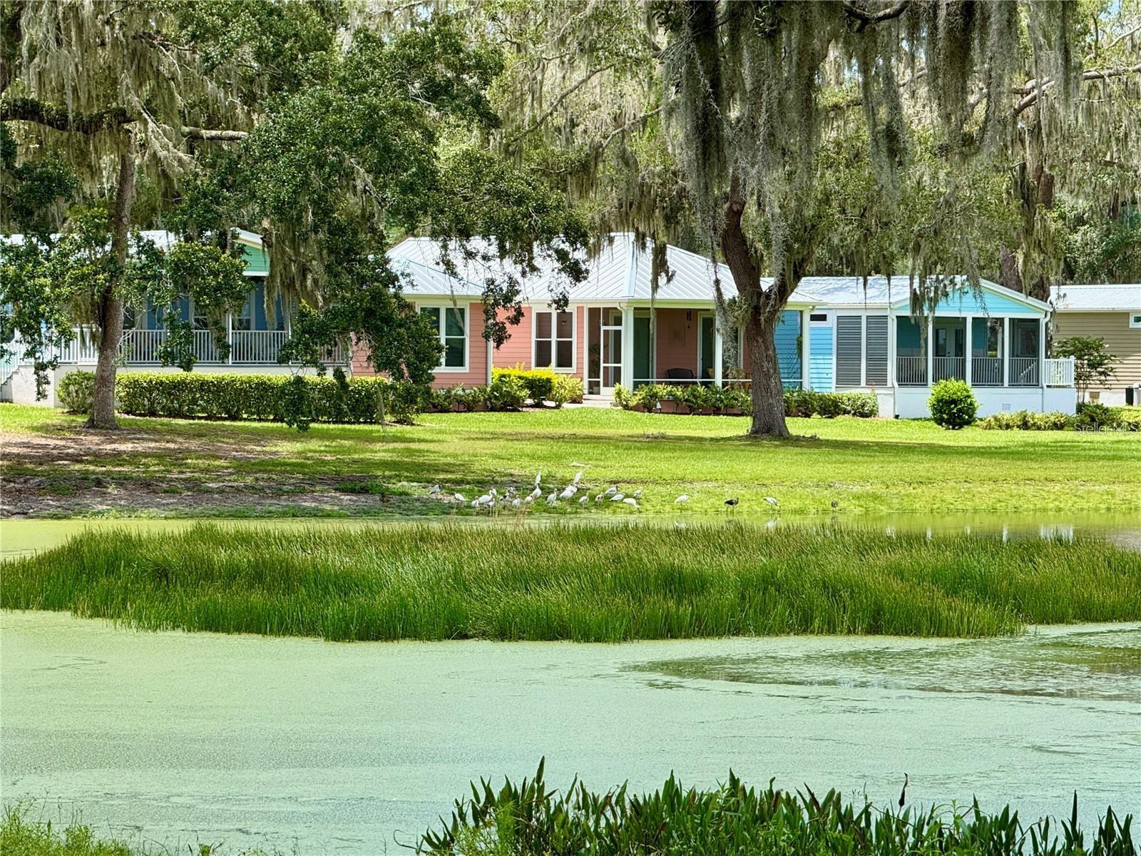 LAKESHORE AT LAKE ANDREW - Residential
