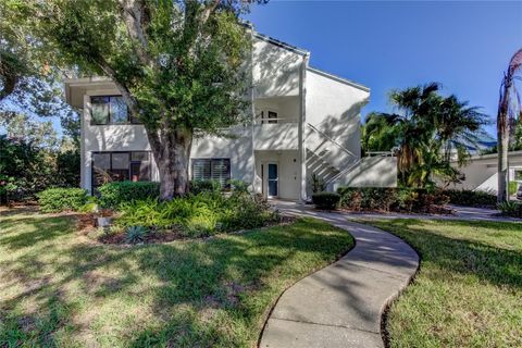 A home in PALM HARBOR