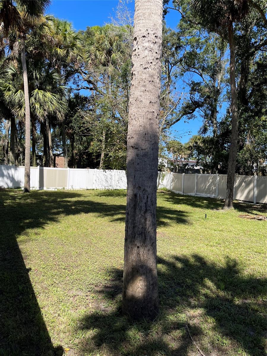 Daytona Gardens 02 - Residential Income