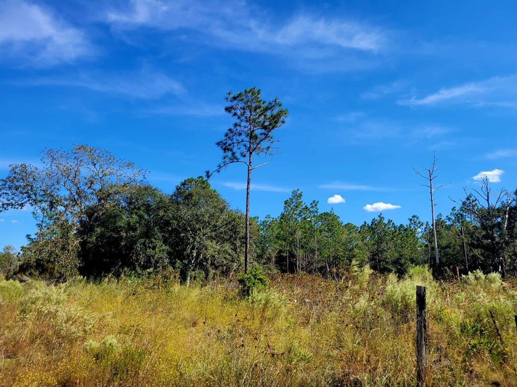 Beautiful land you can build your dream home don't miss this opportunity call today. Motivated seller