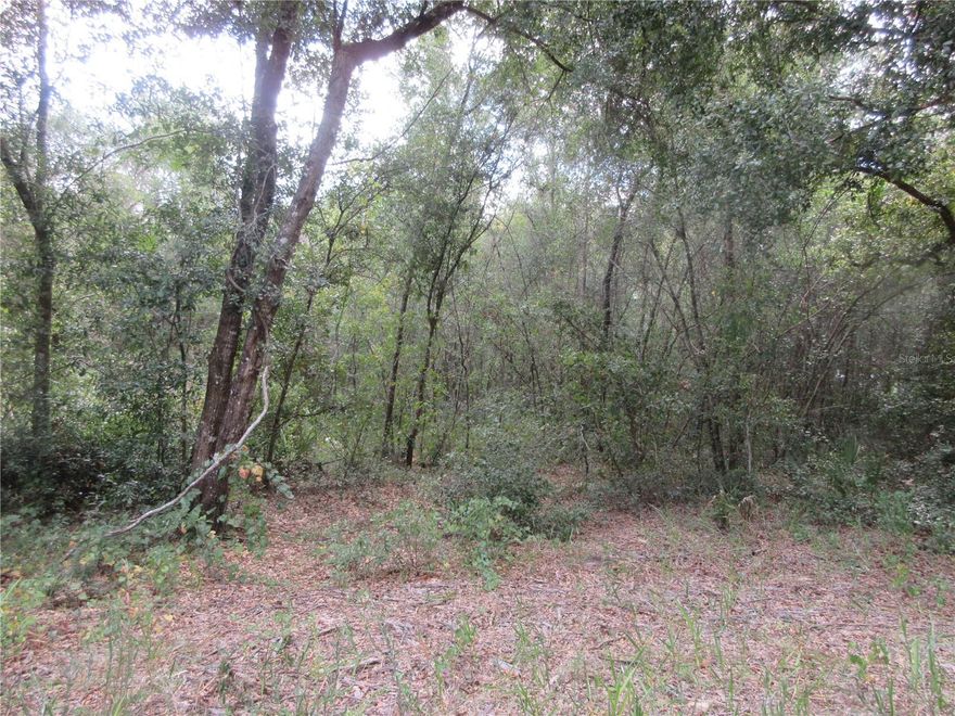 Semi-Secluded quiet .57 acre wooded lot located just 900 feet away from the Ocala National Forest, Zoned R4 for either a mobile home, stick built, or concrete block home. No HOA! If you need an extra large lot for your home, garages, and toys, this is it! The lot dimensions are 100x250. The lot is 900 feet down a sparsely populated dirt road with three different entrances. A great buy at just $25,000. Also, if you need more land, the adjoining lot 52 (OM710312) is also available. It's the same size .57 acres (100x250). Both lots would give you a well over 1 acre (1.15 acres). More good news! If you buy both lots simultaneously, the sellers will give you a huge $10,000 price discount. You can have both lots for a total price of $40,000. The vacant lot is located in the Ocala National Forest, which affords you almost a ½ million acres of forest to roam, 600 lakes, 2 rivers; Juniper Springs, Silver Glen Springs, Salt Springs, swimming, skiing, Big BASS Fishing, Boating, Camping, Hiking, Horse back riding and some of the best ATV riding anywhere. Daytona Beach is just 1 hour away. Let the fun begin! You need it!