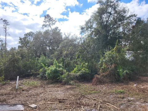 A home in DELAND