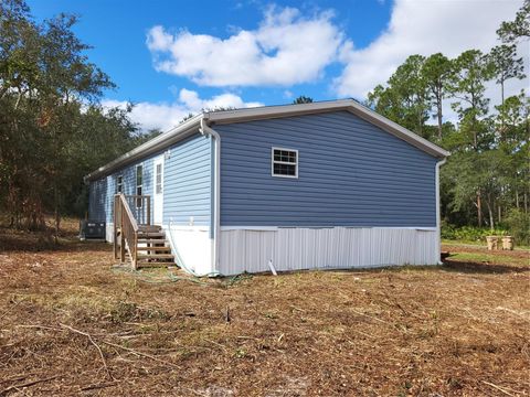 A home in DELAND