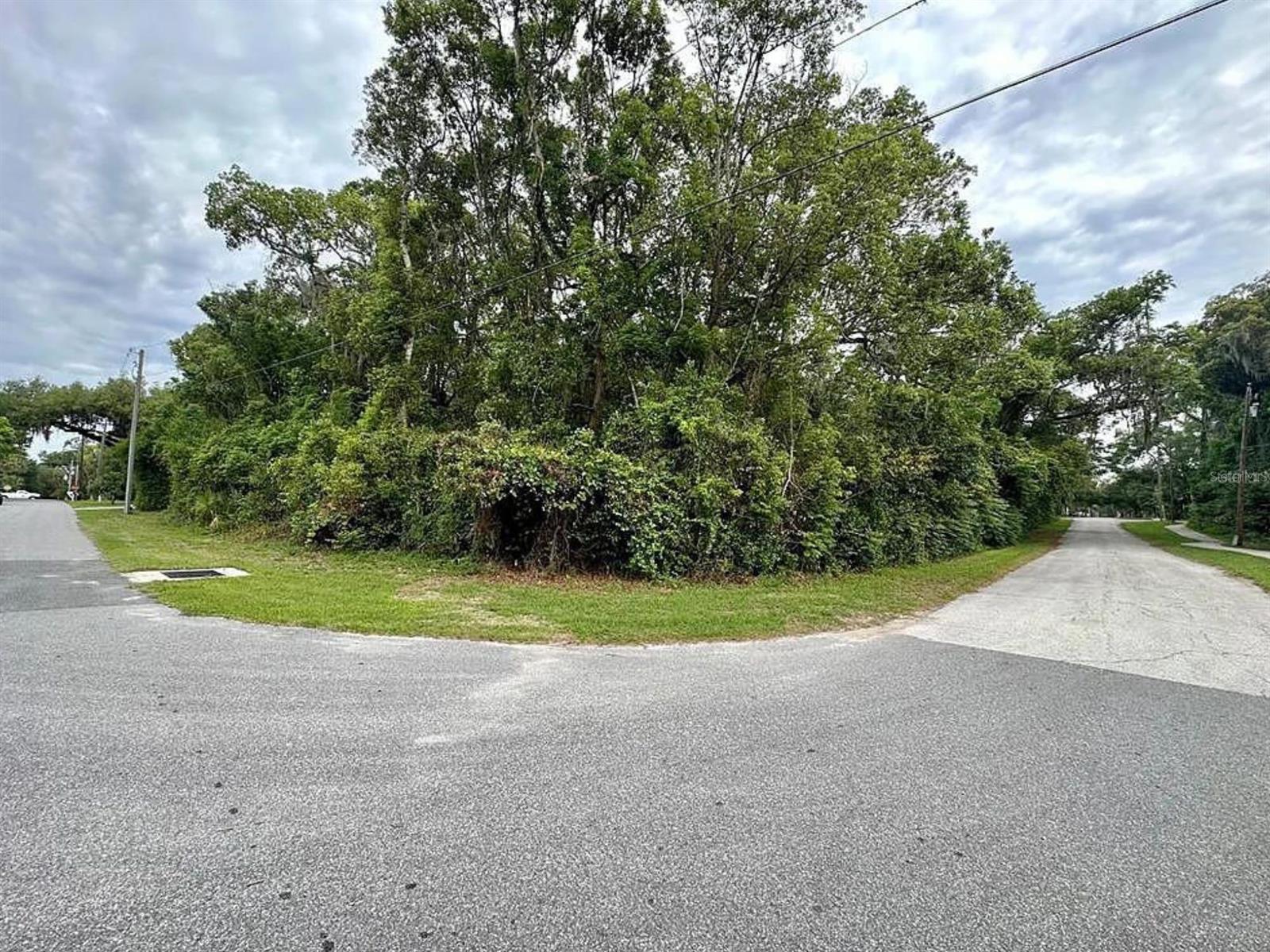 Vacant corner lot in Orange City, ready for your dream home! This property is in a great location just down the street from Mill Lake Park which is a beautiful lake front facility with walking trails and benches. The land is on the corner of S. Oak Avenue and E. Rose Avenue. There is 0.35 of an acre to work with. Also close by you will find public transportation, restaurants, schools, major highways, medical and more!; Cleared: No