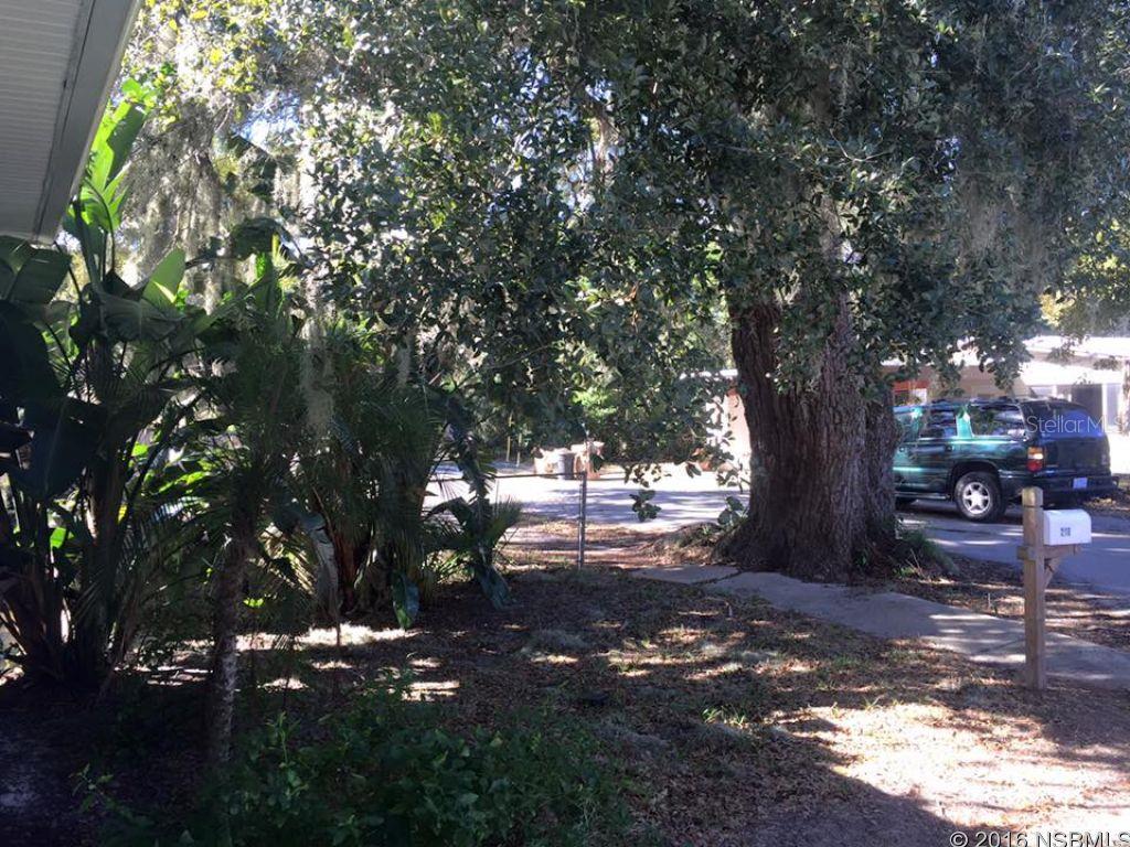 Marshall Park New Smyrna - Residential