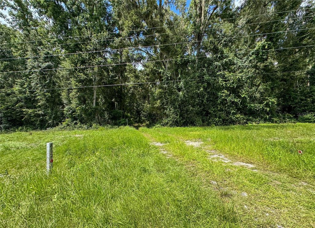 Photo of 8124 SW County Road 346, Archer, FL 32618 (MLS # GC535243)