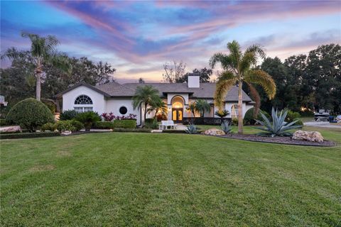 Photo of 10442 Birch Tree Lane, Windermere, FL 34786 (MLS # O6367335)