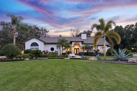 Photo of 10442 Birch Tree Lane, Windermere, FL 34786 (MLS # O6367335)