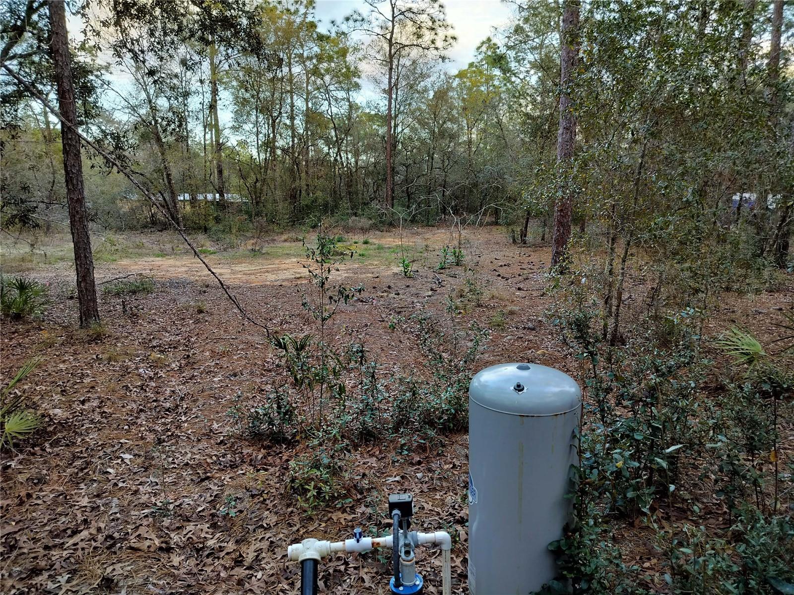 1108 E VAN GOGH COURT