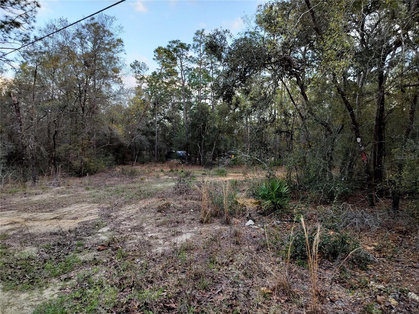 1108 E VAN GOGH COURT