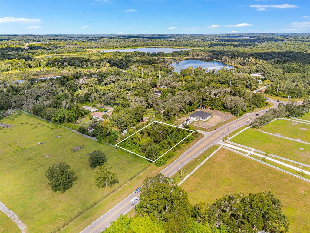 Photo of 16713 Kodi Lane, Odessa, FL 33556 (MLS # TB8433115)