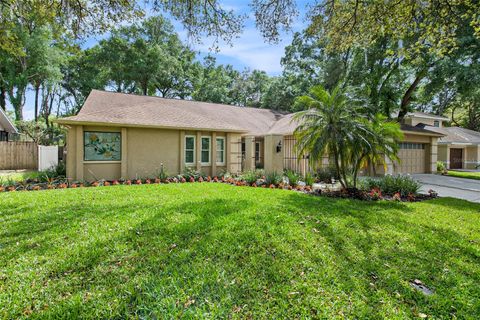 A home in TEMPLE TERRACE