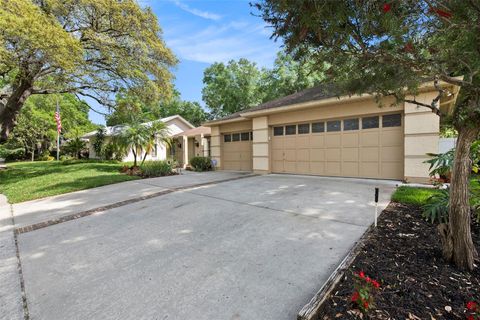 A home in TEMPLE TERRACE