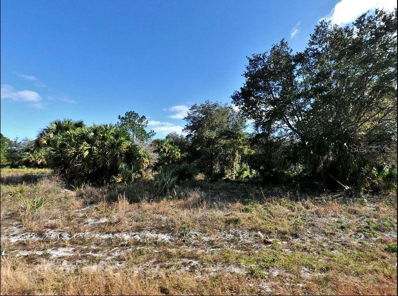 PORT CHARLOTTE SUB 44 - Land