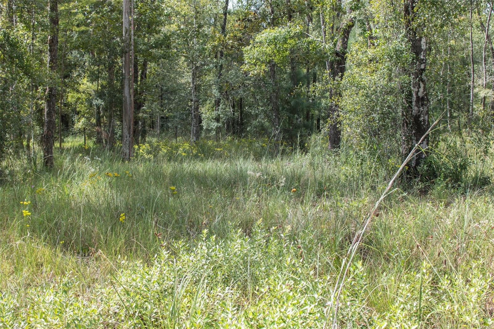 FLAGLER ESTATES - Residential