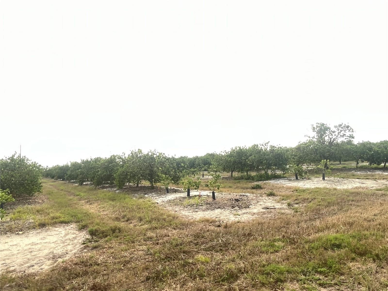 NE HWY 70