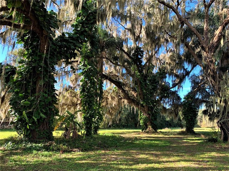 Don't miss your opportunity to own this BEAUTIFUL 4.3 Acre Lot!! Sitting one block from the shores of Lake Harris in Yalaha, a small lakeside town that is home to this BEAUTIFUL property! This lot features HUGE Grand Daddy Oaks that make the perfect setting to build the home of your dreams! This lot already has a well, septic and electricity available which provides a HUGE savings when building a home! Enjoy the freedom and privacy of your own land while not being too far from the Turnpike, shopping, restaurants, entertainment and the Harris Chain of Lakes. Come see this BEAUTIFUL property today!