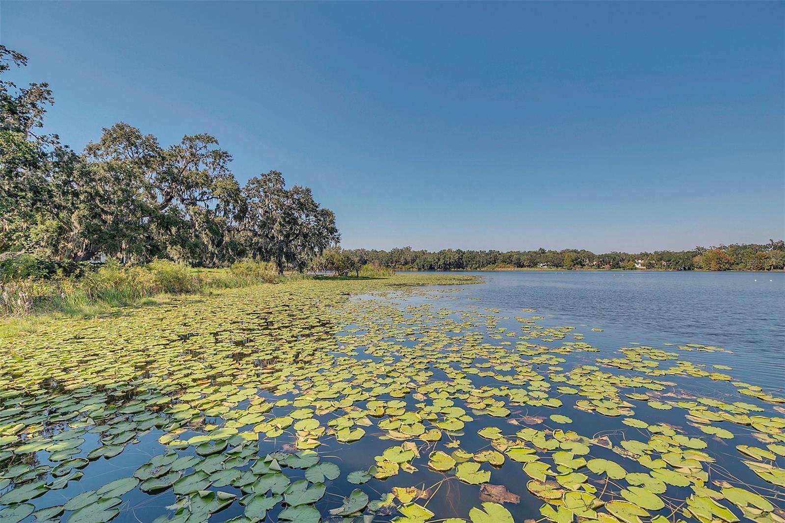 WINDSONG-PRESERVE POINT - Residential