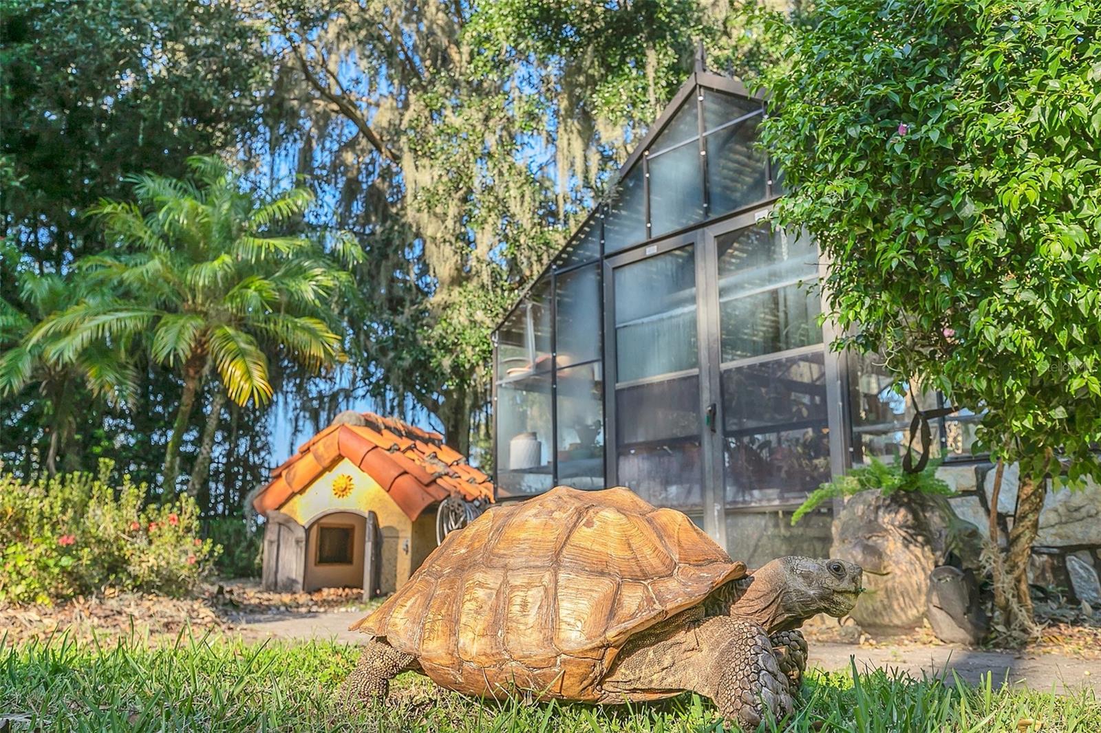 WINDSONG-PRESERVE POINT - Residential