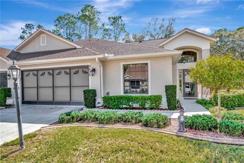 Photo of 9626 Woodhollow Court, New Port Richey, FL 34655 (MLS # W7877213)