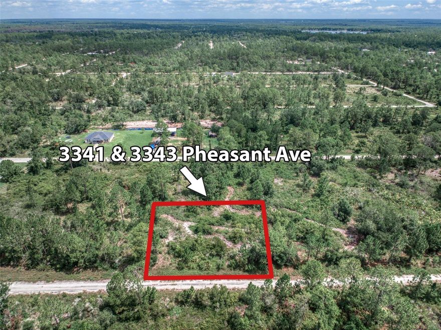 Rare opportunity to purchase two adjacent lots in a peaceful, low-traffic residential area of Lake Placid, FL. Close to schools, shopping, dining, and recreational options, these properties offer a chance to invest in a charming community. The vibrant downtown area, known as The Town of Murals, is just 15 minutes away. Nearby, Lake June-in-Winter Scrub State Park awaits with hiking trails, fishing spots, and breathtaking views. With Lake Placid's rising popularity and development, these lots promise solid investment potential and future appreciation. Don't miss your chance to secure your piece of paradise, whether for building your dream home or investment purposes. Schedule a showing today to explore the possibilities! Lots can be sold separately as well.
