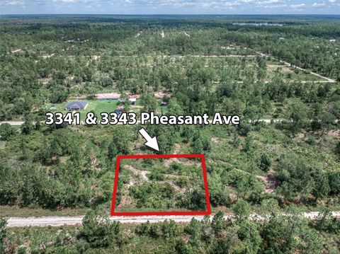 3341 & 3343 PHEASANT AVENUE LAKE PLACID FL 33852