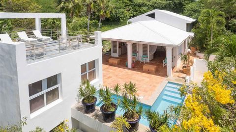 20 CALLE RAMOS RIVERA VIEQUES  00765