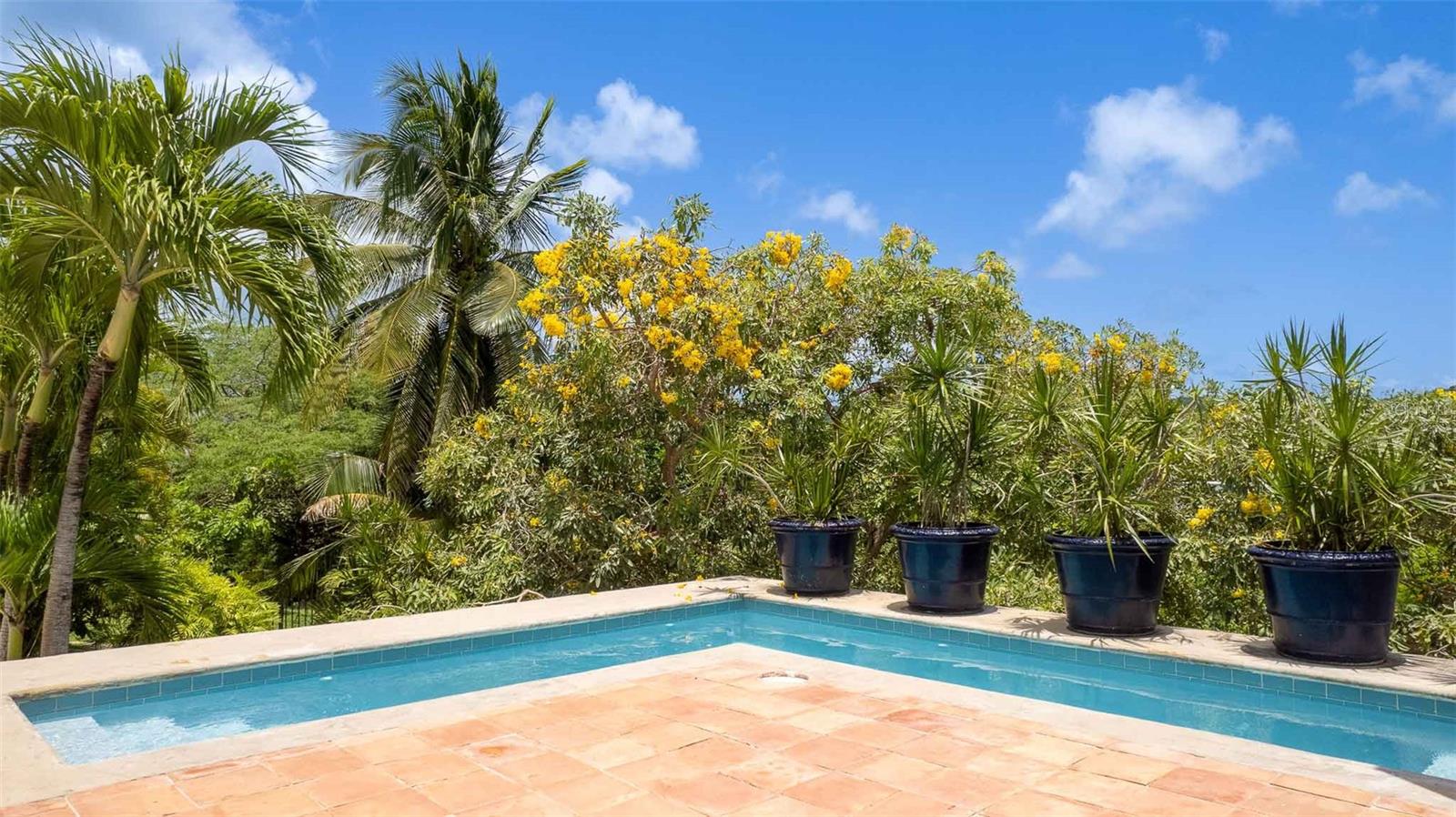 BRAVOS DE BOSTON - Residential