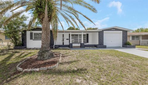 Photo of 5804 Bantam Avenue, New Port Richey, FL 34652 (MLS # TB8497729)