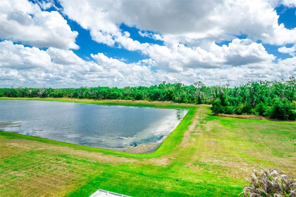 Photo of 17132 White Mangrove Drive, Wimauma, FL 33598 (MLS # TB8494754)