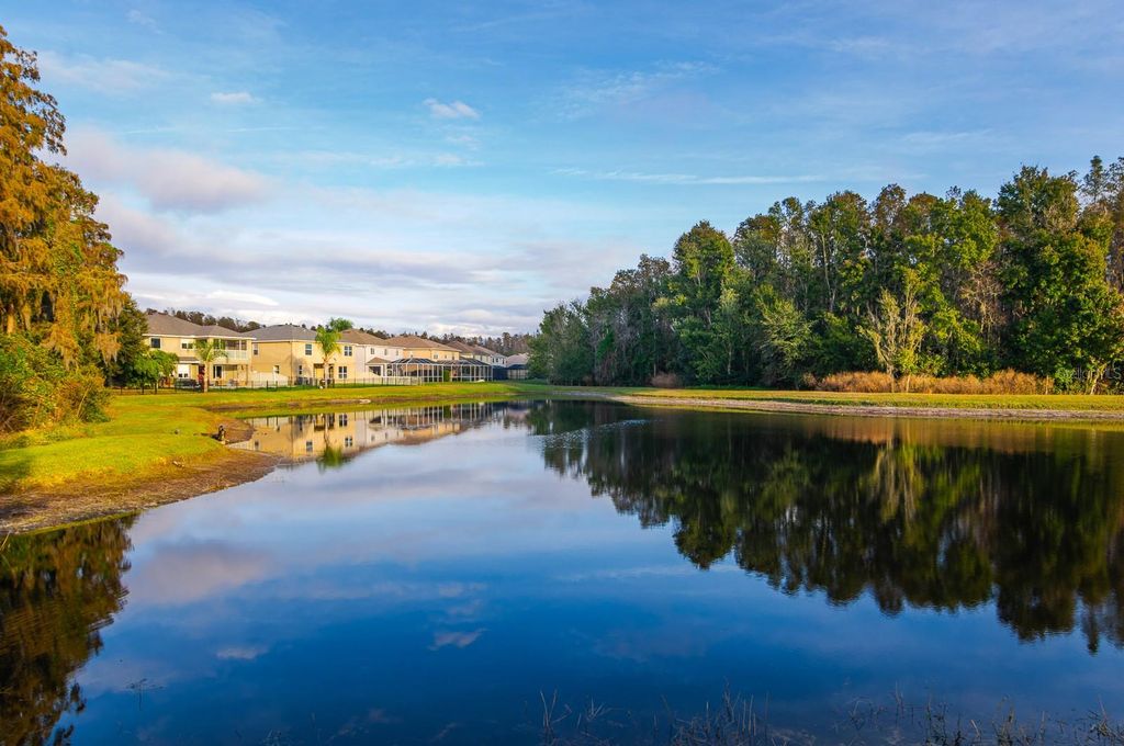 Photo of 3014 Downan Point Drive, Land O Lakes, FL 34638 (MLS # TB8455220)