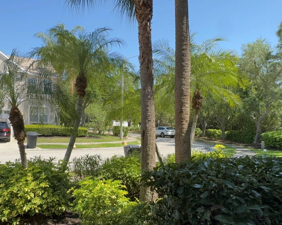 BRIGHTON BAY - Residential