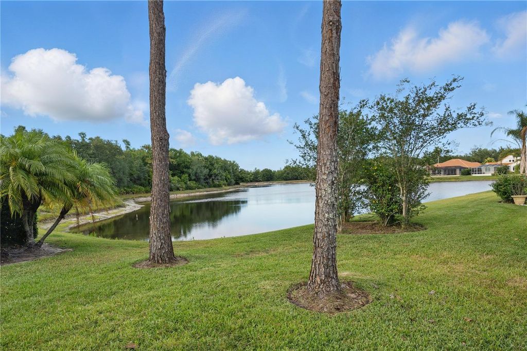 Photo of 10232 Estuary Drive, Tampa, FL 33647 (MLS # TB8382431)