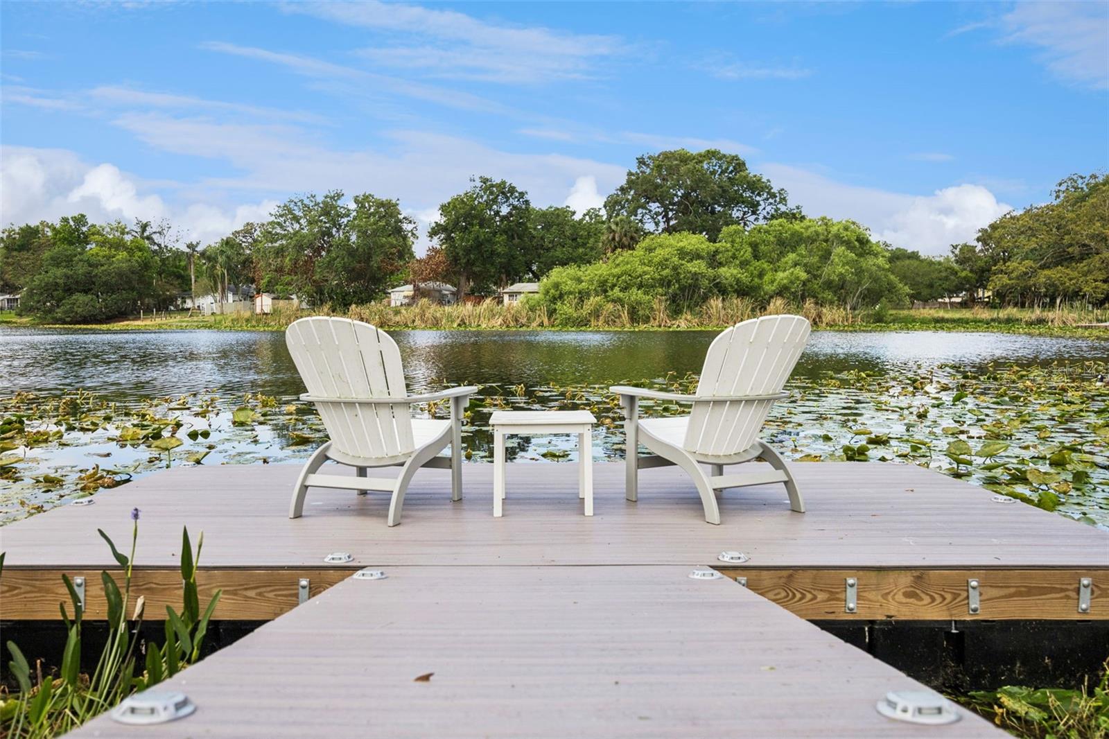 RICHMOND TERRACE FIRST ADD - Residential