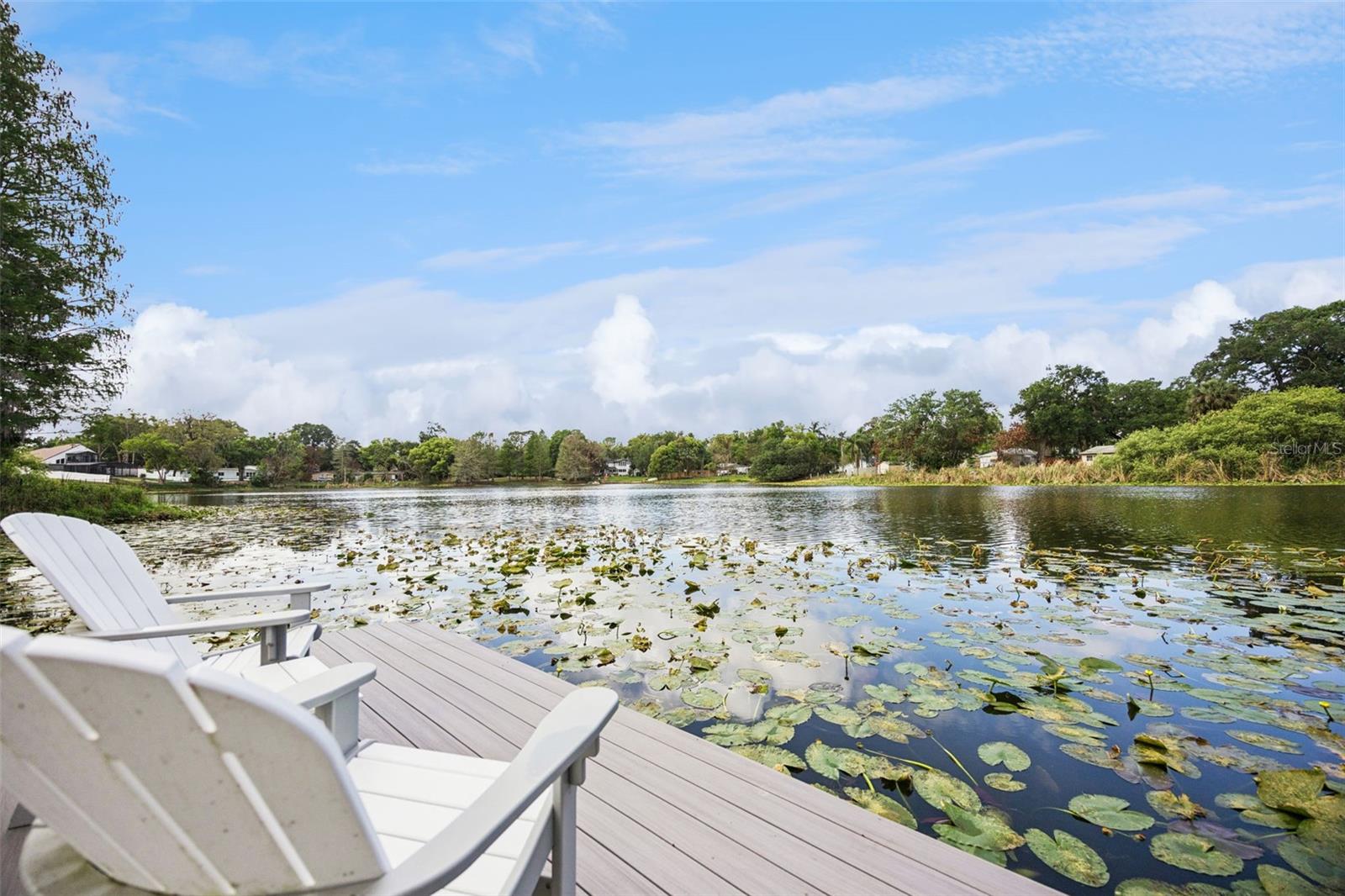 RICHMOND TERRACE FIRST ADD - Residential