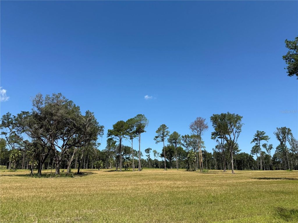 Photo of 7 NW 193rd St, Micanopy, FL 32667 (MLS # OM714729)