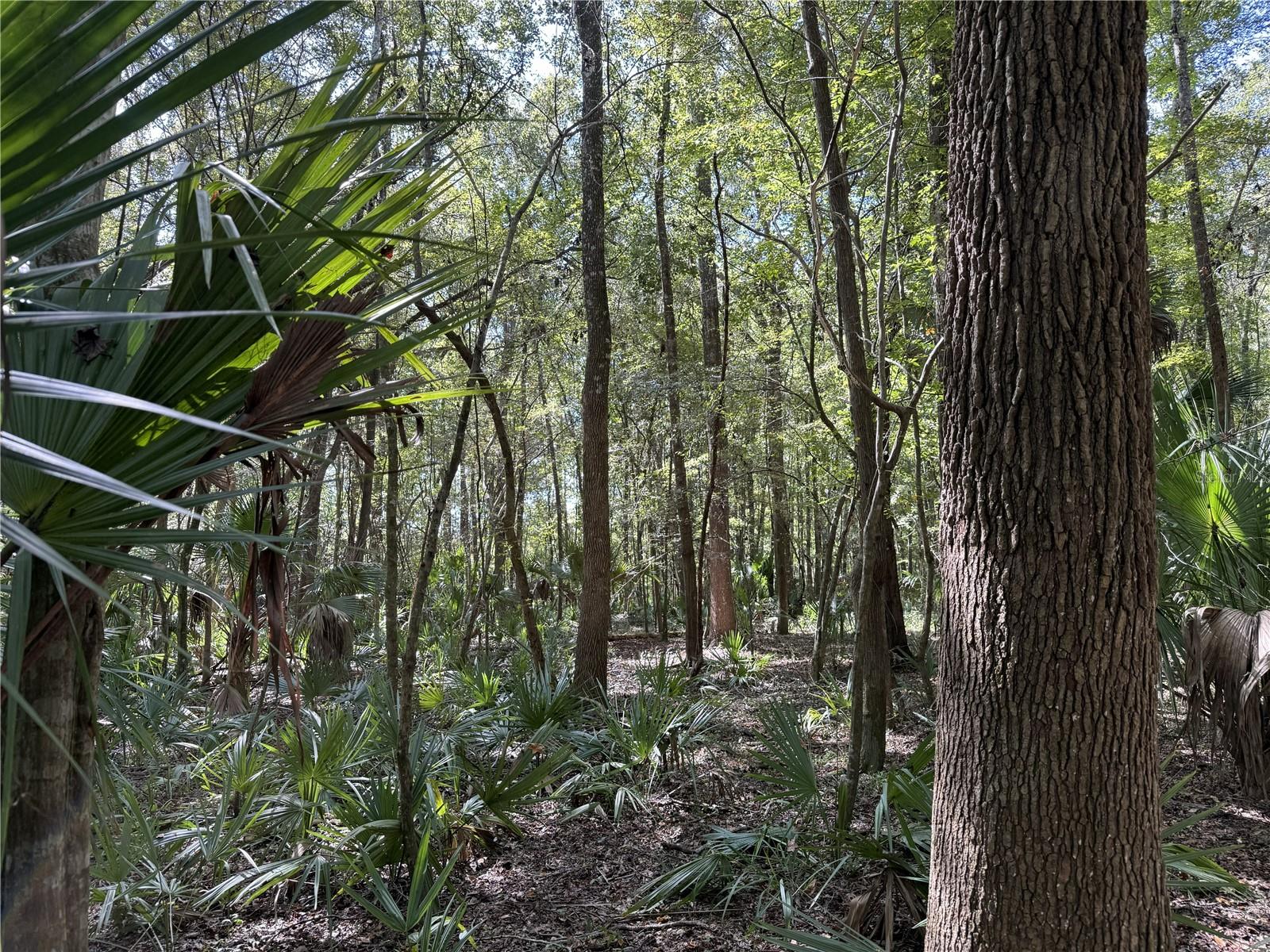 DUNGARVEN RIDGE - Land