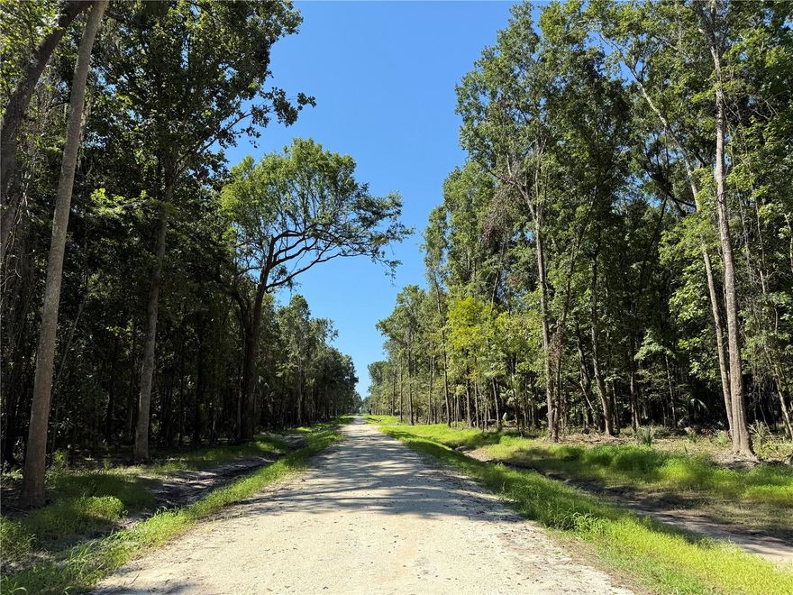 This listing is for Dungarven Ridge Lot #7. 10.03ac in the heart of Horse Country located off of quiet NW 193rd St. A Must SEE. Beautiful pasture with large mature Live Oaks, and towering Longleaf Pines. Incredible rolling terrain. Minor Deed Restrictions to protect the integrity of your investment but give you the freedoms you would expect when owning land. Less than 25 minutes from Ocala and Gainesville, Great Location. 5 minutes from the WEC Ocala Jockey Club (recently purchased by the owners of the World Equestrian Center), 25 minutes from the World Equestrian Center. OWNER FINANCING AVAILABLE 20% Down, 10% Interest, based on 10 year amortization, 3yr fixed, 3 year balloon, Payments = $2,432/mo (Buyer pays all Closing Costs on Owner Financed Purchases includes Doc Stamps on Deed & Mortgage, Intangible Tax on Mortgage, Title Insurance, $100 Loan Fee, $10/mo Collection Fee...)....Additional Acreage Available - call for details. LA will show you all available inventory upon request.