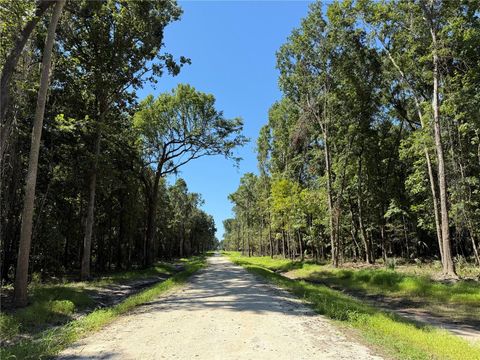 DR #7 (10ac) NW 193RD ST MICANOPY FL 32667