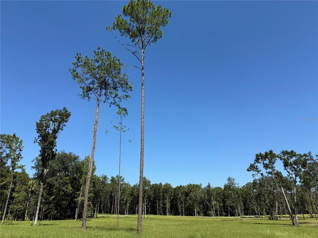 Photo of 7 NW 193rd St, Micanopy, FL 32667 (MLS # OM714729)