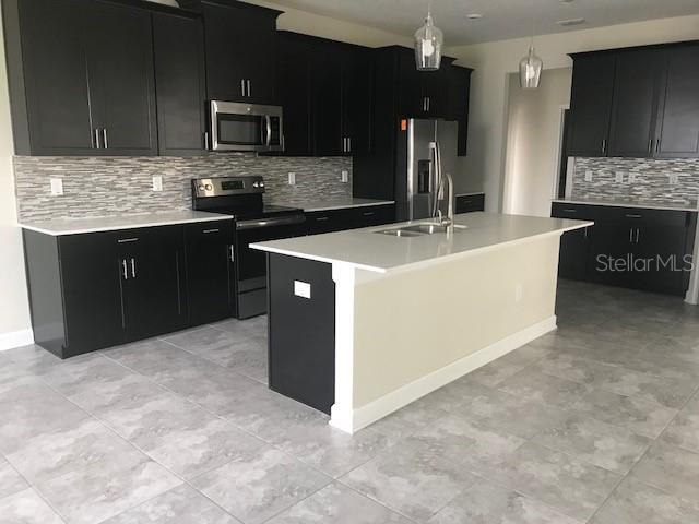 15061 EVERGREEN OAK LOOP