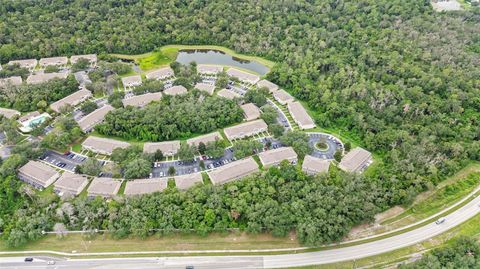 A home in LITHIA