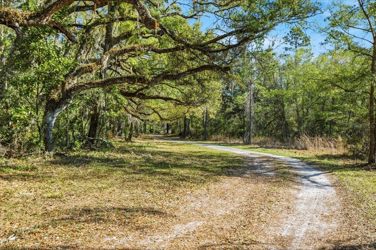 OLD TOWN OAKS - Residential