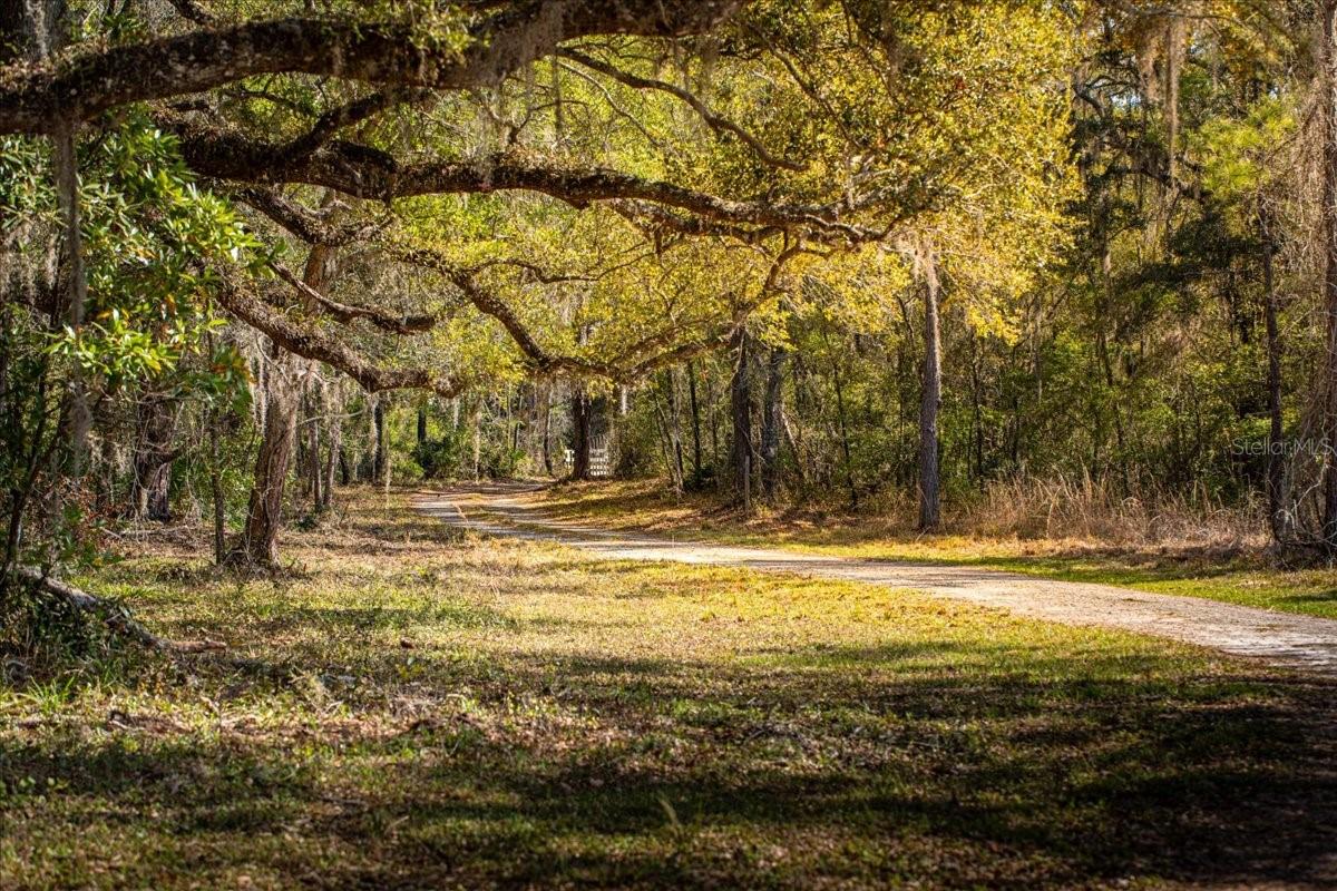 OLD TOWN OAKS - Residential