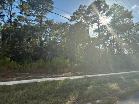 ?? Vacant Land – Build Your Dream Home! Don't miss this incredible opportunity to own a buildable lot in the heart of Spring Hill! Located on Elgin Blvd, this .23-acre vacant residential lot offers the perfect blend of convenience, privacy, and potential. Whether you're planning to build your forever home or looking for a smart investment, this lot is ready for your vision. Paved road frontage with easy access to major roads and highways. No HOA or CDD fees! Conveniently Located Near: Shopping centers, grocery stores, and restaurants. Great local schools and healthcare facilities. Just minutes to Weeki Wachee Springs State Park, 15 mins to the Gulf Coast, under 1 hour to Tampa.
