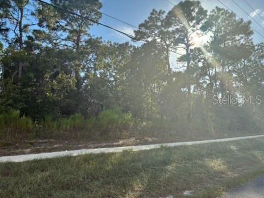 Vacant Land – Build Your Dream Home! Don't miss this incredible opportunity to own a buildable lot in the heart of Spring Hill! Located on Elgin Blvd, this .23-acre vacant residential lot offers the perfect blend of convenience, privacy, and potential. Whether you're planning to build your forever home or looking for a smart investment, this lot is ready for your vision. Paved road frontage with easy access to major roads and highways. No HOA or CDD fees! Conveniently Located Near: Shopping centers, grocery stores, and restaurants. Great local schools and healthcare facilities. Just minutes to Weeki Wachee Springs State Park, 15 mins to the Gulf Coast, under 1 hour to Tampa.